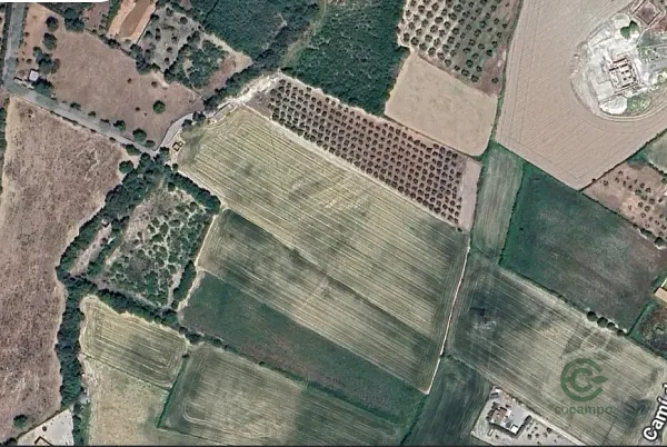 Spot image