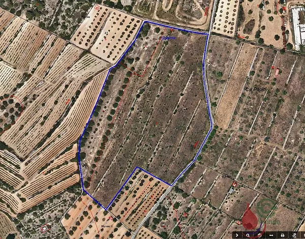 Spot image