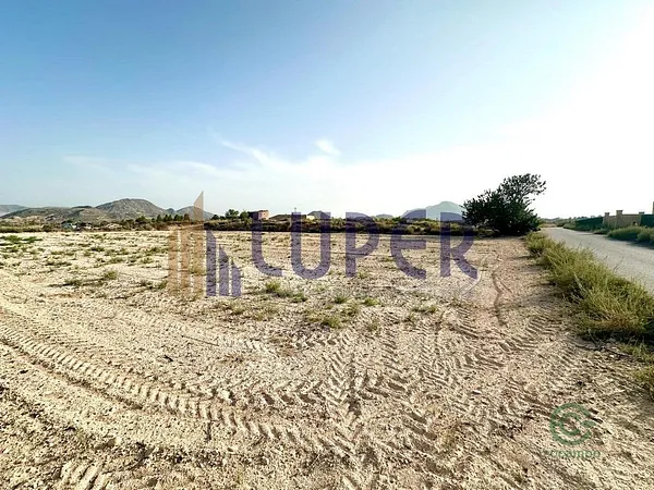 Spot image