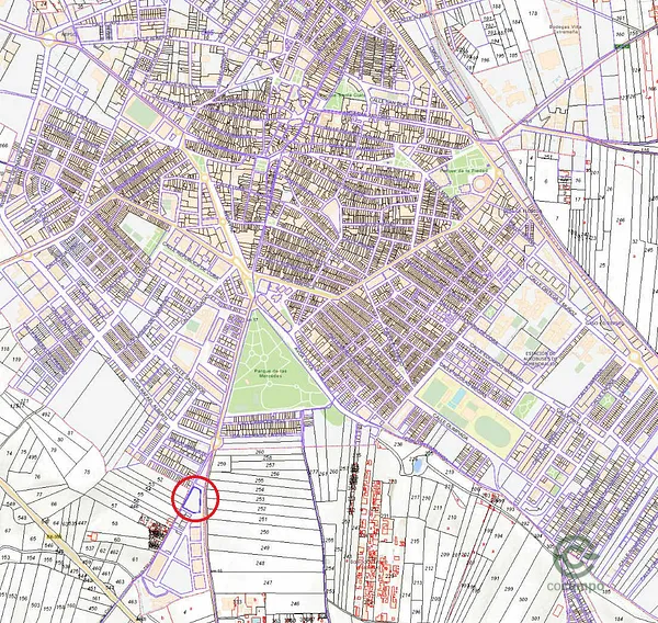 Spot image