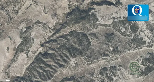 Spot image
