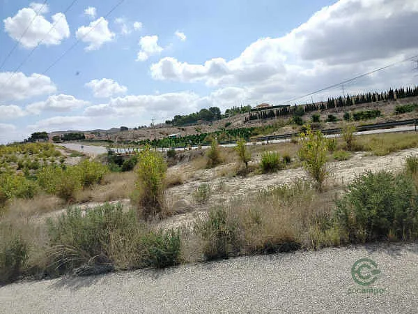 Finca rústica de 0,3 ha en venta en Molina de Segura, Murcia