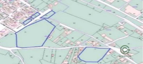 Spot image