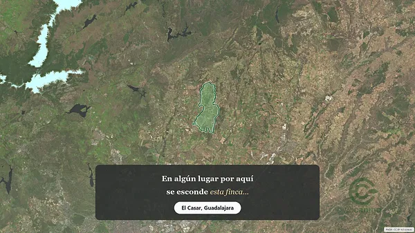 Spot image