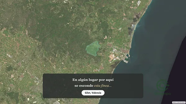 Spot image
