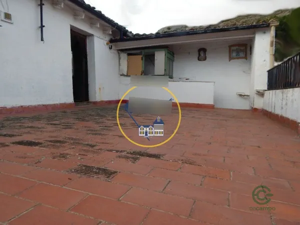 Spot image