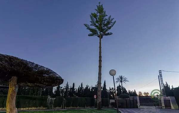 Casa de 0,23 ha en venta en Elche-elx, Alicante