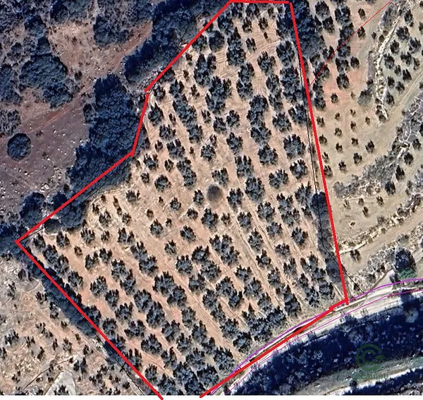 Spot image