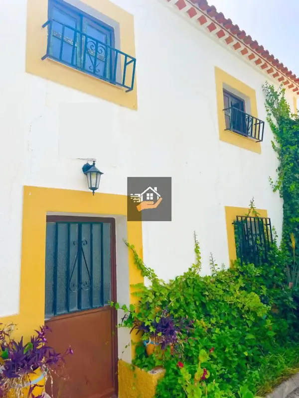 Spot image