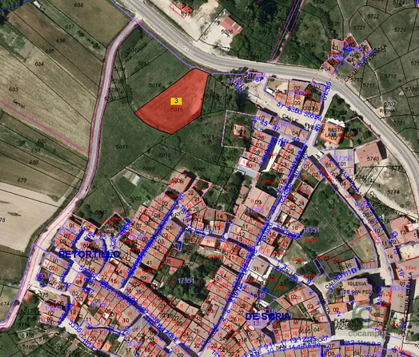 Spot image