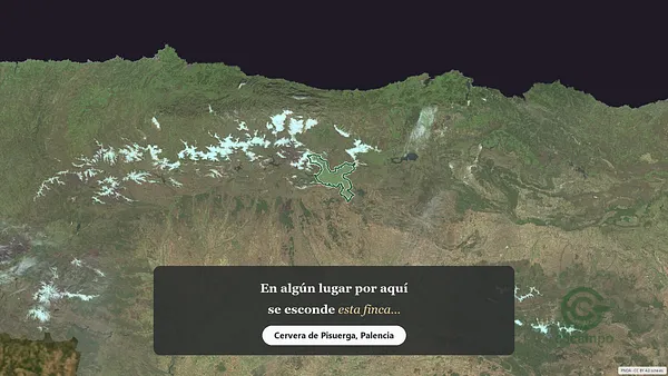 Spot image