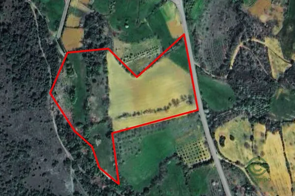 Spot image