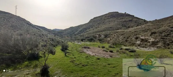 Spot image