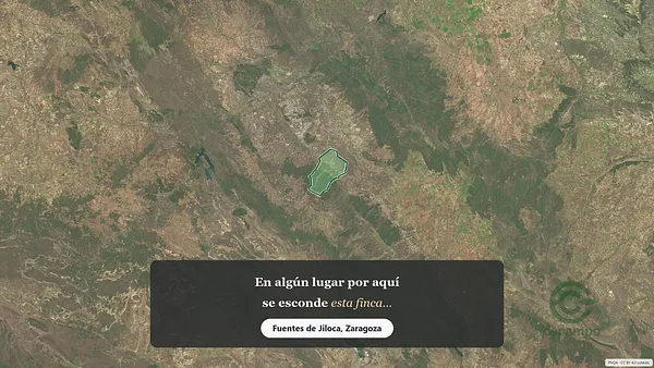 Spot image