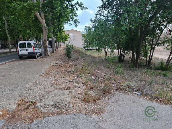 Finca rústica de 0,6892 ha en venta en Almansa, Albacete