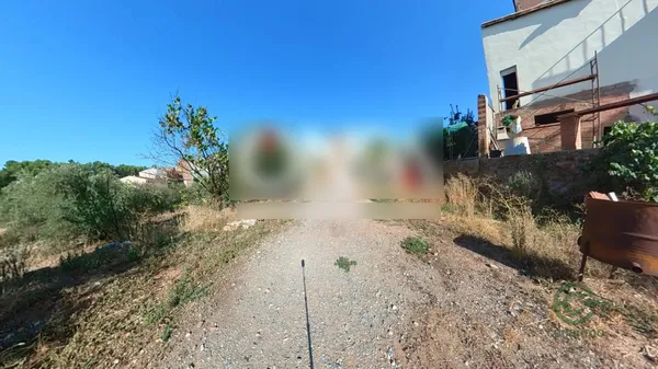 Spot image