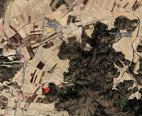 Spot image