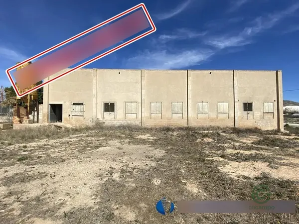 Spot image