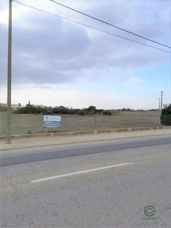 Spot image