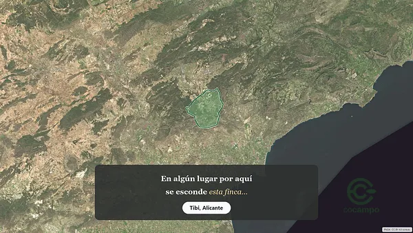 Spot image