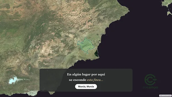 Spot image