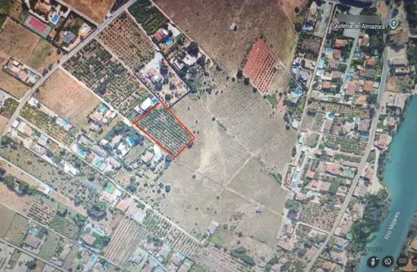 Spot image