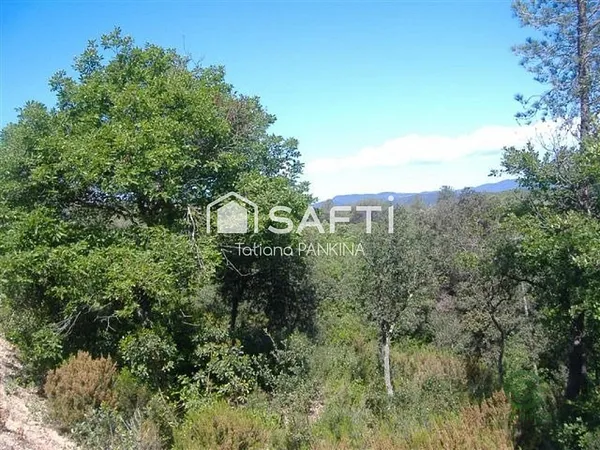 Spot image