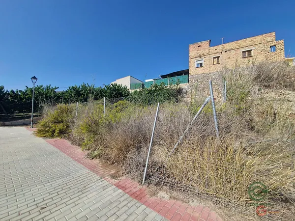 Spot image