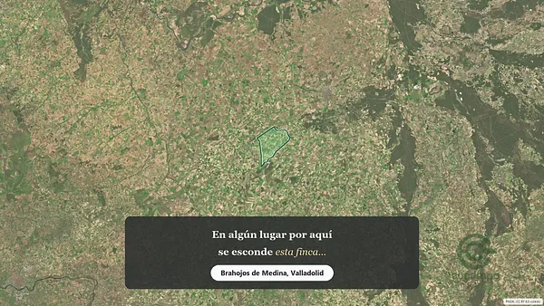 Spot image