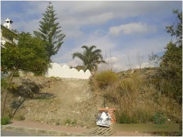 Spot image