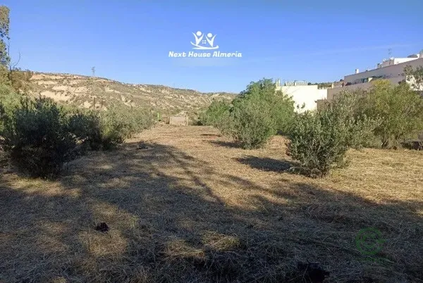 Spot image