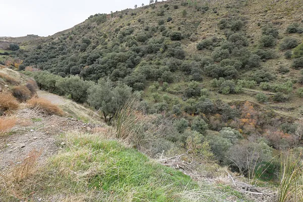 Finca agrícola de 0,5462 ha en venta en Monachil, Granada