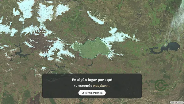 Spot image