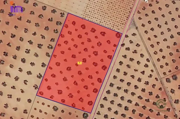 Spot image
