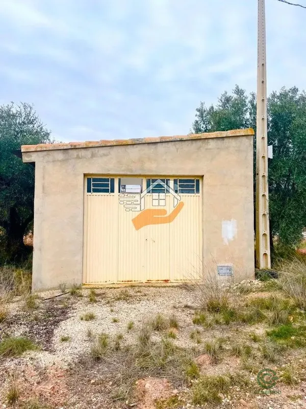 Spot image