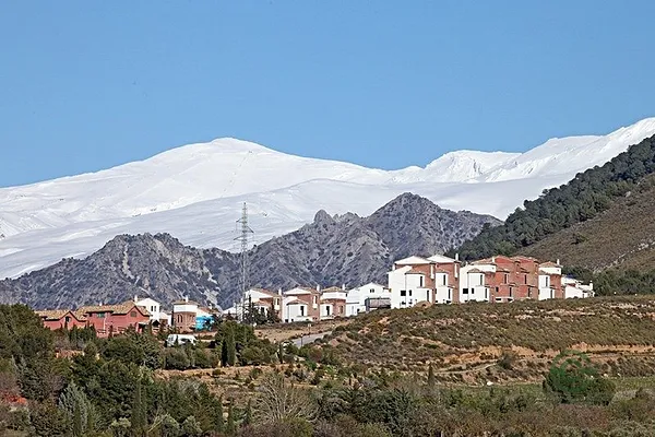 Spot image