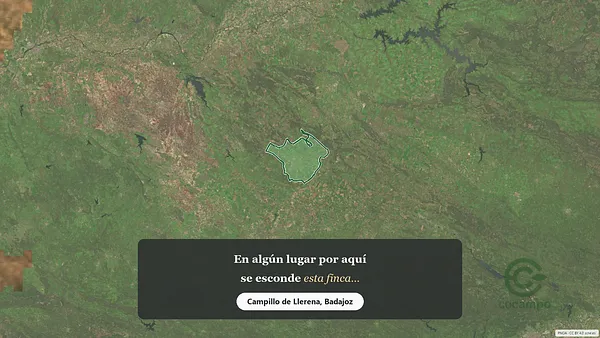 Spot image