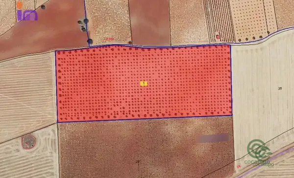Finca agrícola de 6 ha en venta en Alhambra, Ciudad real