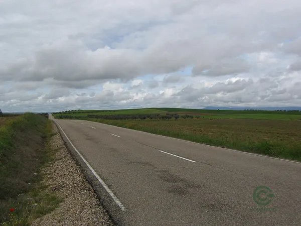 Finca rústica de 57 ha en venta en Toledo