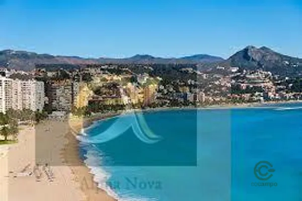 Spot image