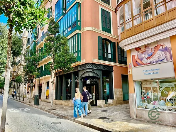 Spot image