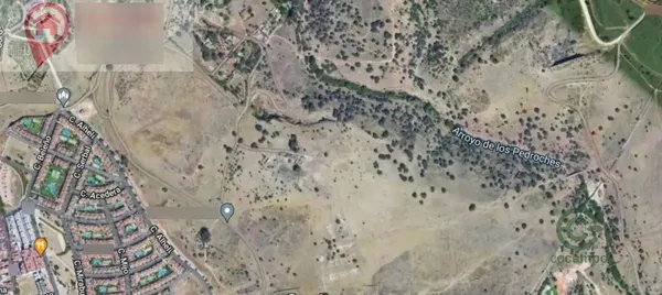 Spot image