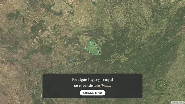 Spot image