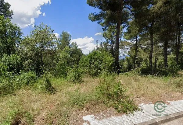 Spot image