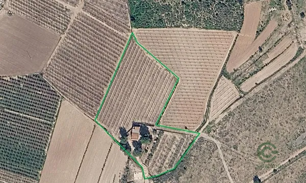 Spot image