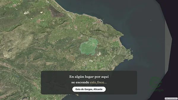 Spot image