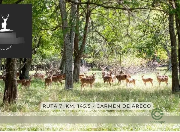 Finca rústica de 1,3 ha en venta en Buenos aires