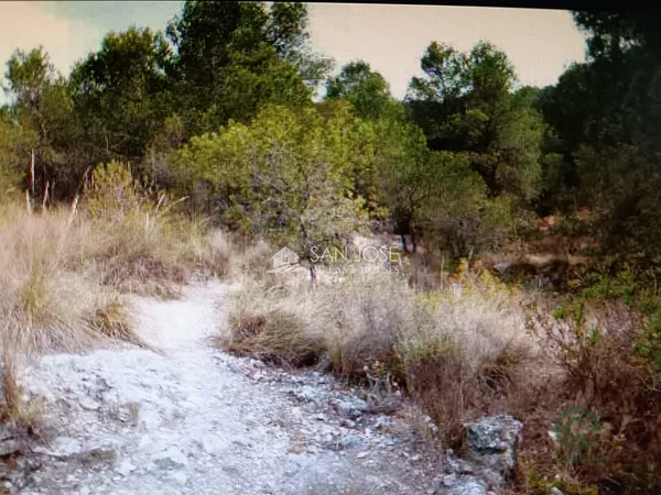 Finca rústica de 1,294 ha en venta en Monovar - monover, Alicante