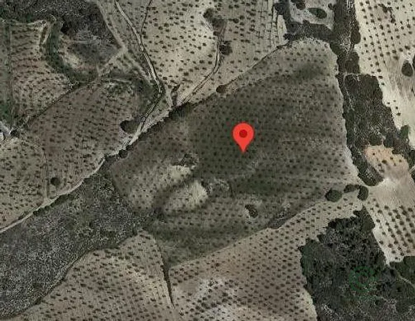 Spot image