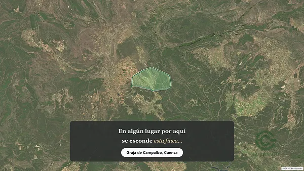 Spot image